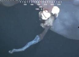 深海幕后爆料视频完整版,揭秘神秘爆料视频完整版内幕 第1张 深海幕后爆料视频完整版,揭秘神秘爆料视频完整版内幕 第1张